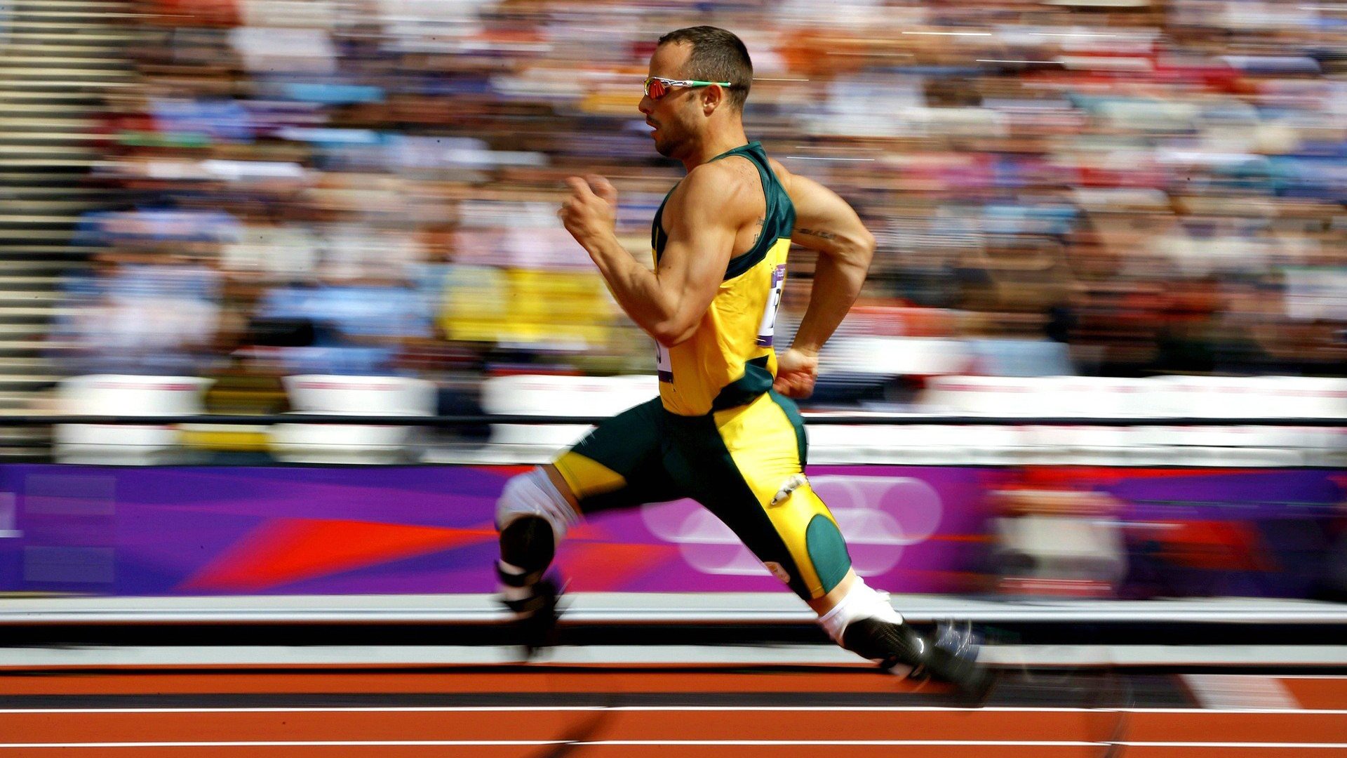 开云体育-未来足球场馆将实现“绿色能源+智能控制”全链路绿色升级，新型足球场